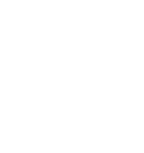 Goldenberg-agentur 30 Webentwicklung