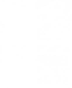 Goldenberg-agentur 37 Videoschnitt